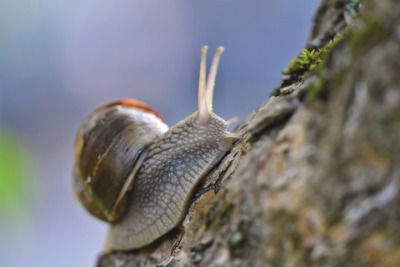 400 x 267 400 x 267